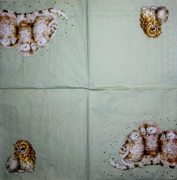 003 Owls - 3-ply - Wrendale - CS